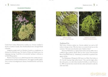 Medicinal Lichens: Indigenous Wisdom and Modern Pharmacology [KSIĄŻKA]