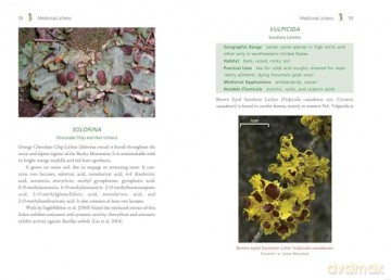 Medicinal Lichens: Indigenous Wisdom and Modern Pharmacology [KSIĄŻKA]