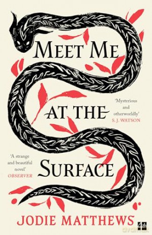 Meet Me at the Surface: A haunting and literary debut novel inspired by Cornish folklore; 'Strange and beautiful' Observer [KSIĄŻKA]