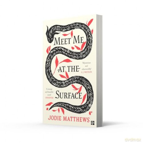 Meet Me at the Surface: A haunting and literary debut novel inspired by Cornish folklore; 'Strange and beautiful' Observer [KSIĄŻKA]