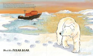 Meet the Bears [KSIĄŻKA]