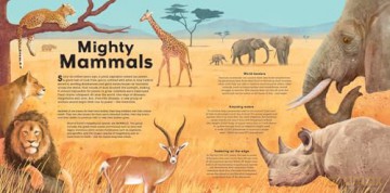MEGA: The Most Enormous Animals Ever [KSIĄŻKA]