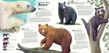 MEGA: The Most Enormous Animals Ever [KSIĄŻKA]