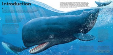 MEGA: The Most Enormous Animals Ever [KSIĄŻKA]