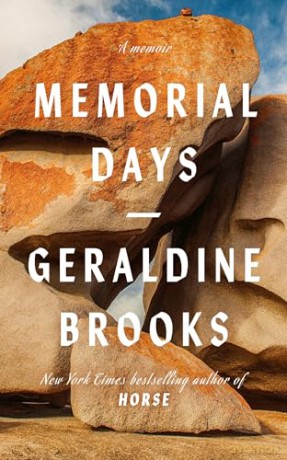 Memorial Days: a New York Times bestseller [KSIĄŻKA]