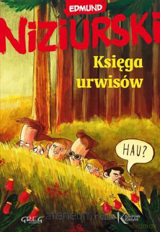 Księga urwisów kolor BR GREG [KSIĄŻKA]