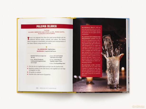 Mexico City Cocktails: An Elegant Collection of Over 100 Recipes Inspired by the City of Palaces [KSIĄŻKA]