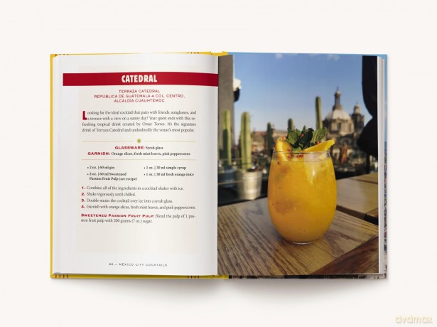 Mexico City Cocktails: An Elegant Collection of Over 100 Recipes Inspired by the City of Palaces [KSIĄŻKA]