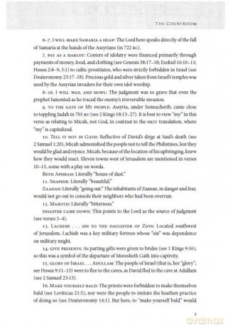 Micah, Zephaniah, Nahum, Habakkuk, Joel, and Obadiah: God's Comfort for His People [KSIĄŻKA]