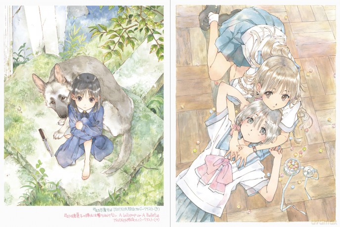 Midday Moon: The Art of Shiromizakana [KOMIKS]