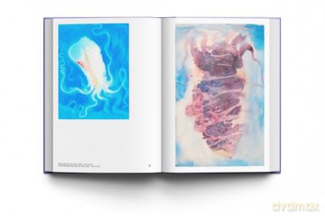 Miquel Barceló: Oceanographer [KSIĄŻKA]