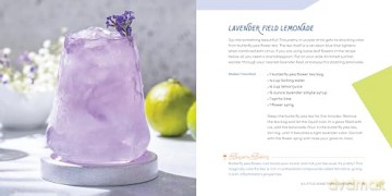 Mocktail Lounge: Creative Alcohol-Free Cocktails to Elevate Your Sipping Hour [KSIĄŻKA]