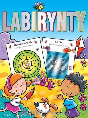 Labirynty latawiec [KSIĄŻKA]
