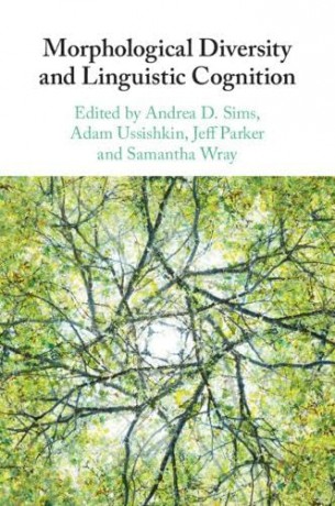 Morphological Diversity and Linguistic Cognition [KSIĄŻKA]