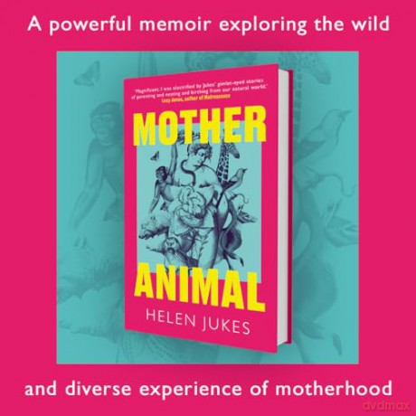 Mother Animal [KSIĄŻKA]