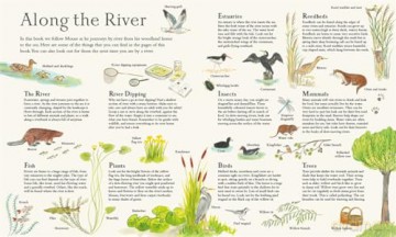 Mouse on the River: A journey through nature [KSIĄŻKA]