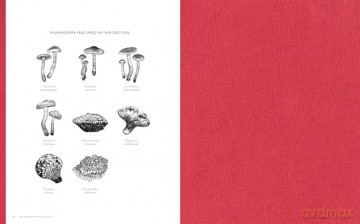 Mushroom Color Atlas: A Guide to Dyes and Pigments Made from Fungi [KSIĄŻKA]