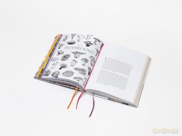 Mushroom Color Atlas: A Guide to Dyes and Pigments Made from Fungi [KSIĄŻKA]