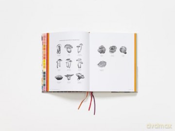 Mushroom Color Atlas: A Guide to Dyes and Pigments Made from Fungi [KSIĄŻKA]