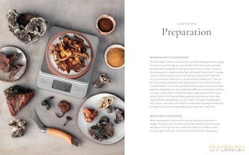 Mushroom Color Atlas: A Guide to Dyes and Pigments Made from Fungi [KSIĄŻKA]