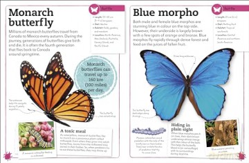 My Book of Bugs: A Fact-Filled Guide to the Insect World [KSIĄŻKA]