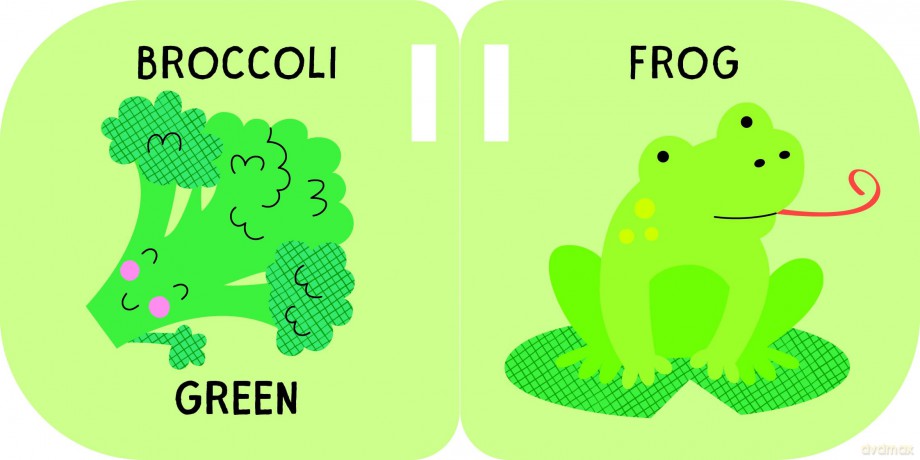 My Buggy Book: Colours [KSIĄŻKA]