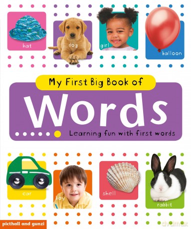 My First Big Book of Words [KSIĄŻKA]