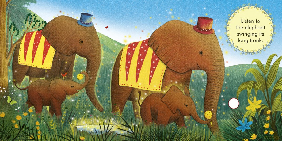 My First Story Orchestra: Carnival of the Animals: Press the buttons to hear 6 sounds [KSIĄŻKA]