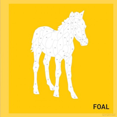 My Sticker Paintings: Baby Animals: 10 Adorable Paintings [KSIĄŻKA]