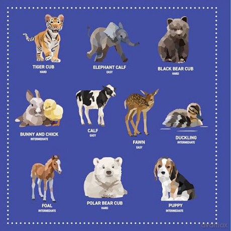 My Sticker Paintings: Baby Animals: 10 Adorable Paintings [KSIĄŻKA]