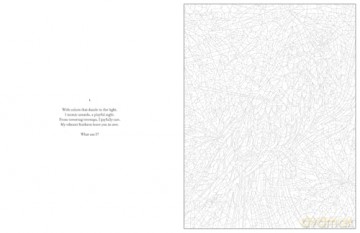 Mystery Coloring Wild Animals: Solve the riddle and color by numbers to reveal the picture [KSIĄŻKA]