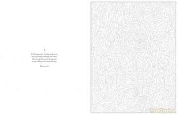 Mystery Coloring Wild Animals: Solve the riddle and color by numbers to reveal the picture [KSIĄŻKA]
