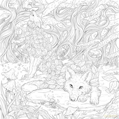 Mythographic Color and Discover: Fantasy Forest: An Artist's Coloring Book of Woodland Spirits [KSIĄŻKA]