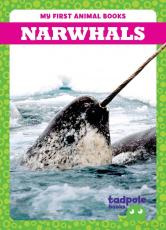 Narwhals [KSIĄŻKA]