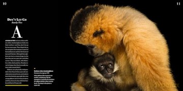 National Geographic Photo Ark Babies: Growing Up in the Animal World [KSIĄŻKA]