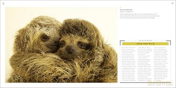 National Geographic Photo Ark Babies: Growing Up in the Animal World [KSIĄŻKA]