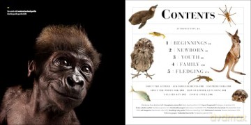 National Geographic Photo Ark Babies: Growing Up in the Animal World [KSIĄŻKA]