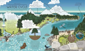 Nature Explained: A Family Guide to 20 Nature Cycles [KSIĄŻKA]