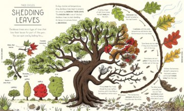 Nature Explained: A Family Guide to 20 Nature Cycles [KSIĄŻKA]