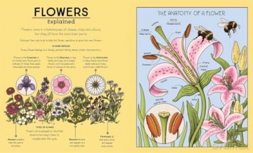 Nature Explained: A Family Guide to 20 Nature Cycles [KSIĄŻKA]