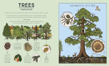 Nature Explained: A Family Guide to 20 Nature Cycles [KSIĄŻKA]