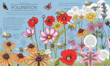 Nature Explained: A Family Guide to 20 Nature Cycles [KSIĄŻKA]
