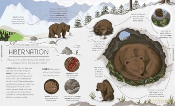 Nature Explained: A Family Guide to 20 Nature Cycles [KSIĄŻKA]