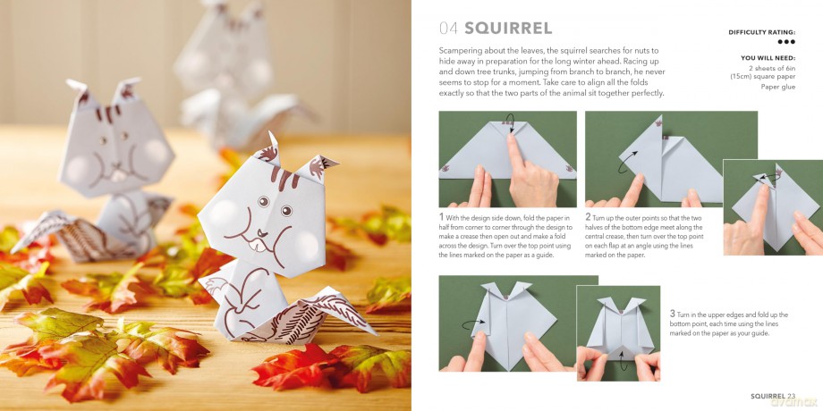 Nature Origami: Paper block plus 64-page book [KSIĄŻKA]