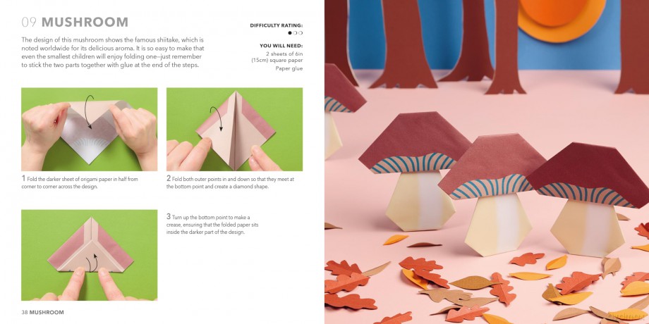 Nature Origami: Paper block plus 64-page book [KSIĄŻKA]