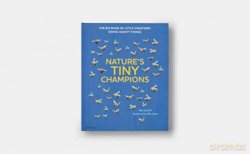 Nature's Tiny Champions: The Big Book of Little Creatures Doing Mighty Things [KSIĄŻKA]
