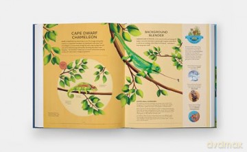 Nature's Tiny Champions: The Big Book of Little Creatures Doing Mighty Things [KSIĄŻKA]