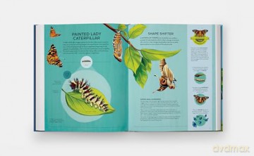 Nature's Tiny Champions: The Big Book of Little Creatures Doing Mighty Things [KSIĄŻKA]