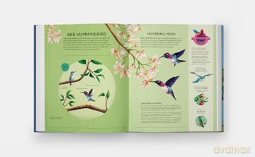 Nature's Tiny Champions: The Big Book of Little Creatures Doing Mighty Things [KSIĄŻKA]