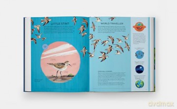 Nature's Tiny Champions: The Big Book of Little Creatures Doing Mighty Things [KSIĄŻKA]